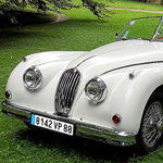 jaguar-xk120