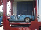 austin healey