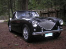 1955 BN1 Austin Healey