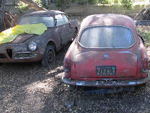 '63 & '64 Alfa Giulias