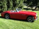 1954 Austin Healey 100-4