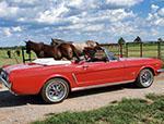 1965 Ford Mustang Convertible