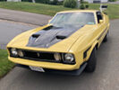 1973 Ford Mustang Mach 1